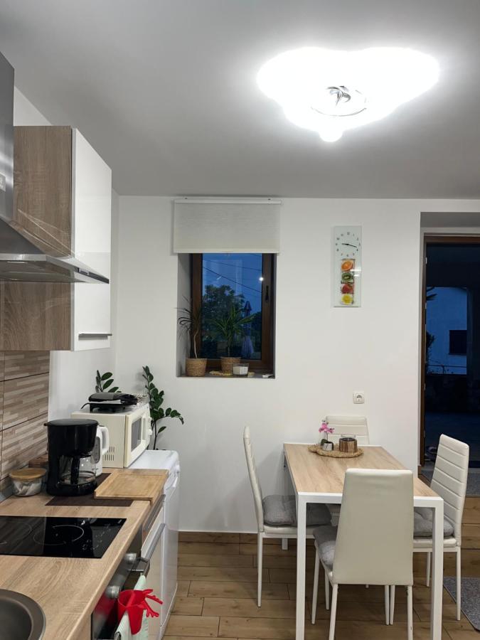 Appartement Lovre à Viskovo Extérieur photo